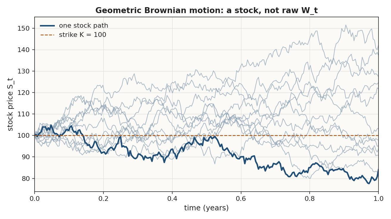 Geometric Brownian motion: stock paths, which stay positive